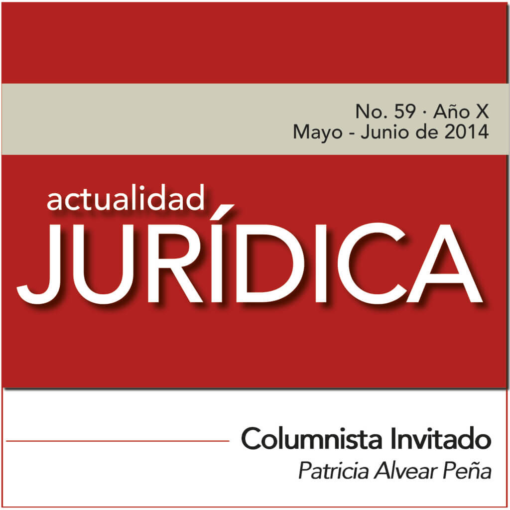 Abuso del derecho y protección jurídica.